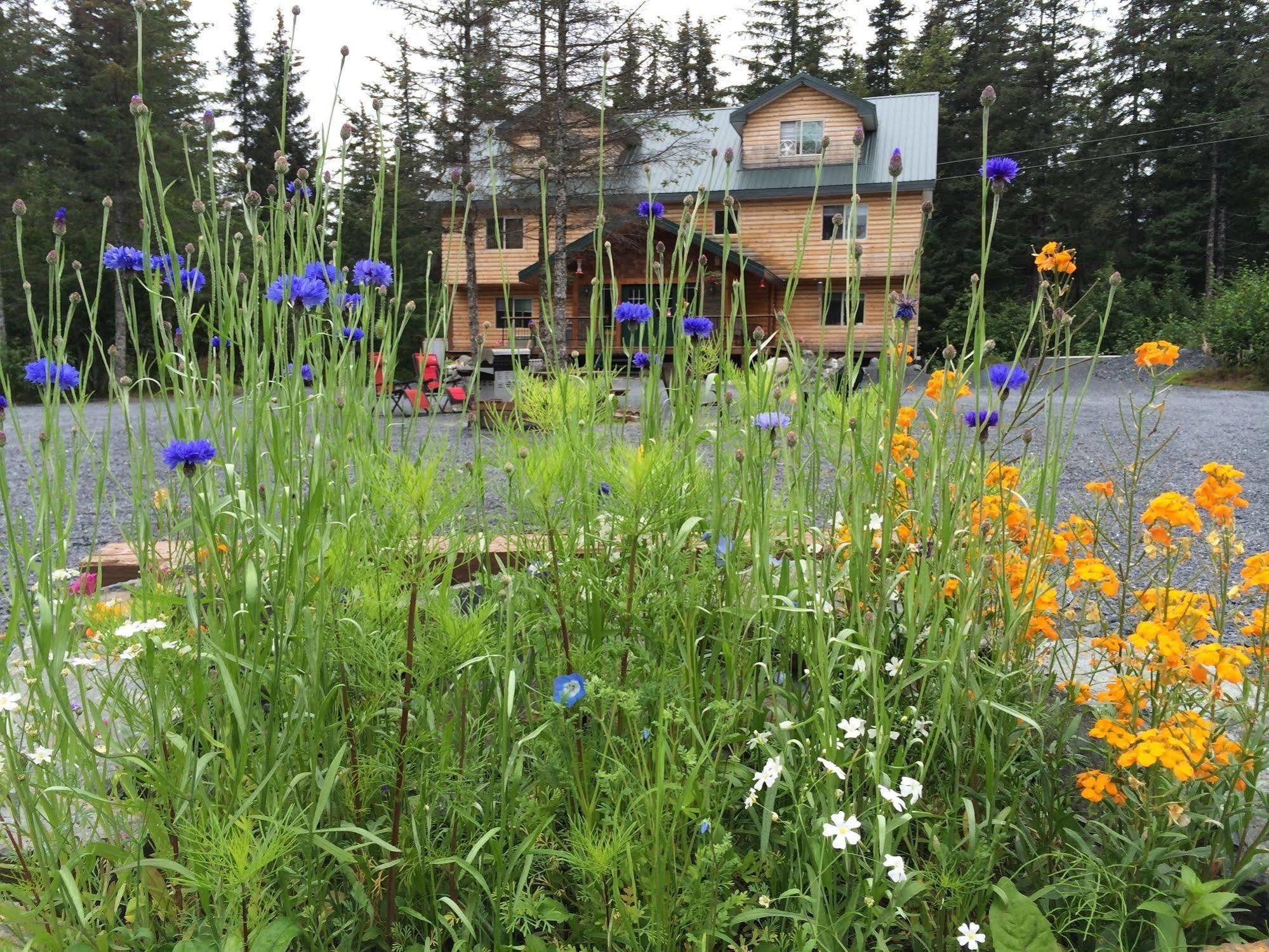 Twin Peaks Lodge And Rv Park Seward Exterior foto